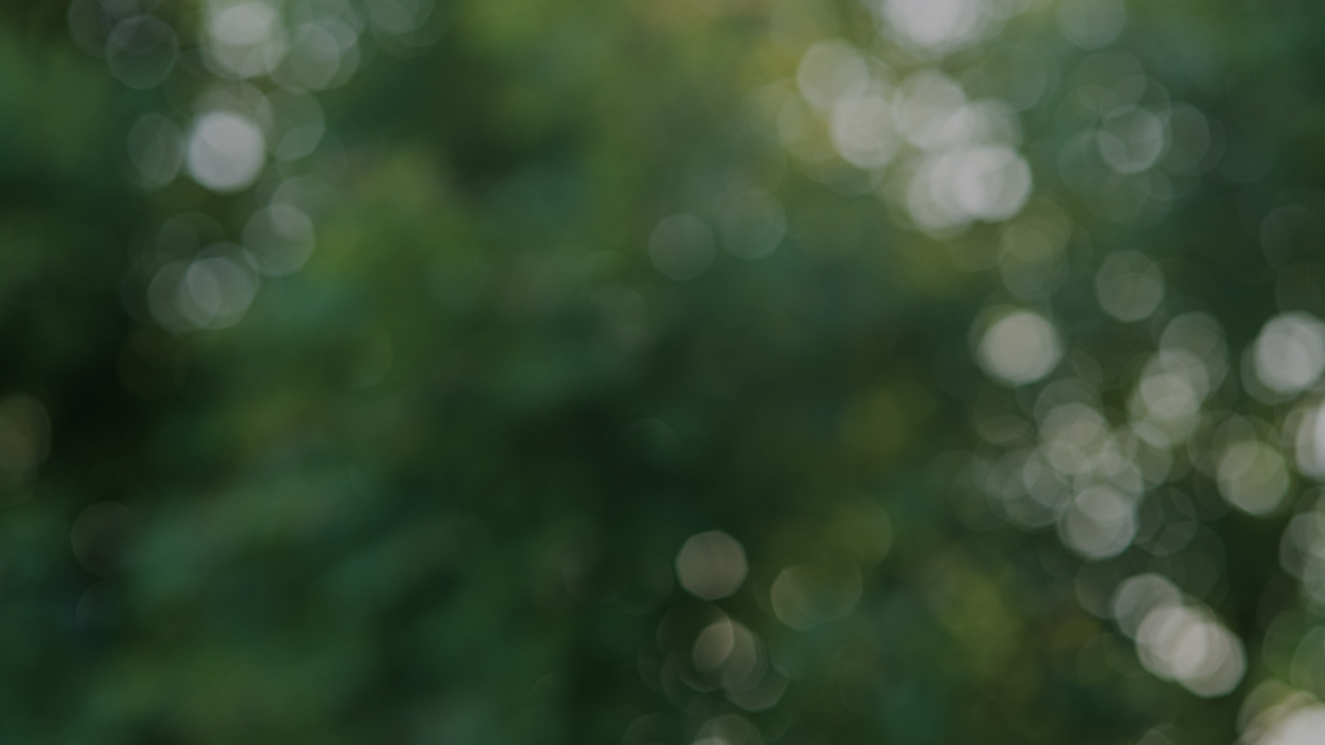 포레스트벤처스 메인 비주얼 - Grow with Forest Ventures 시류에 따르지 않고, 독립적 사고로 결정적 순간을 만듭니다.